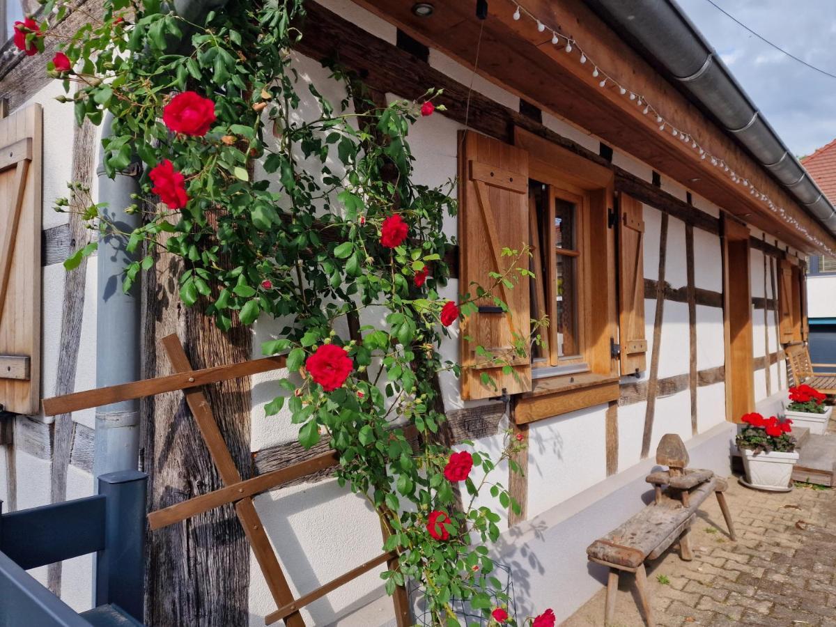 Une Maison A Colombages - Cosy, Lumineuse Et Sauna Kesseldorf エクステリア 写真